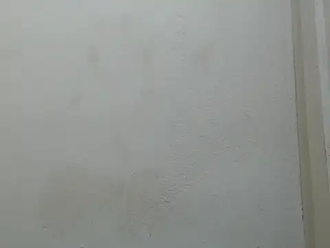 jasminex12