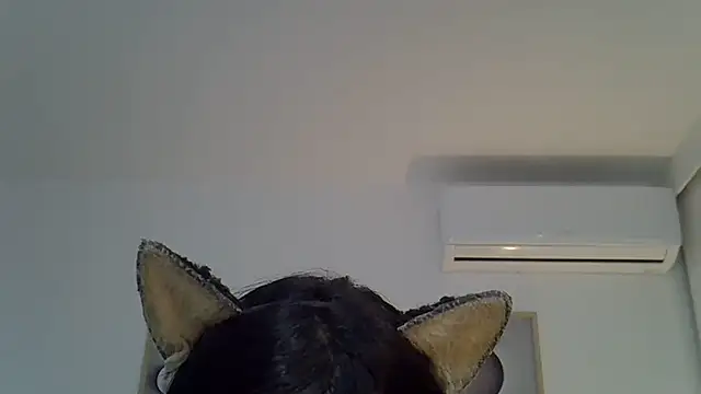 SkinnyKitten