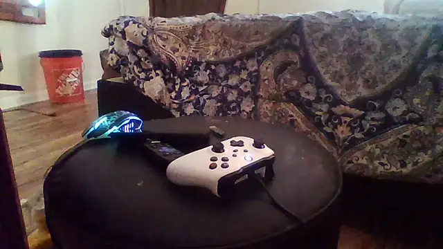 kentinlitlerock in webcam