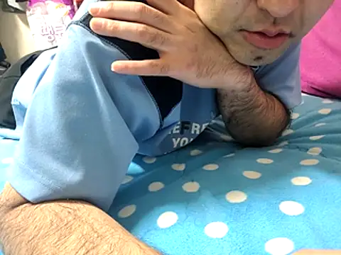 bch1045, modèle webcam
