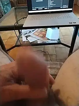 Philebranleur in webcam