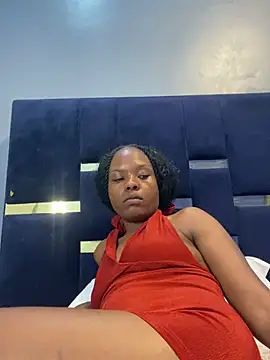 Sis27