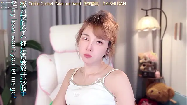 hi-AnAn, modelo de webcam