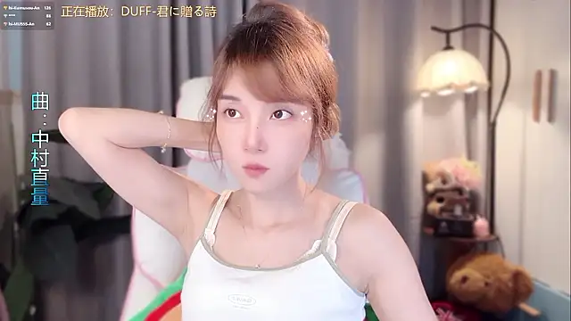 hi-AnAn, modelo webcam