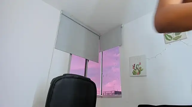 barbie_ds webcam model