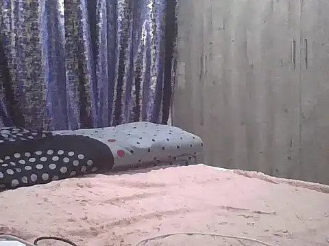 Amara254