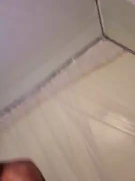 Shelly_mes