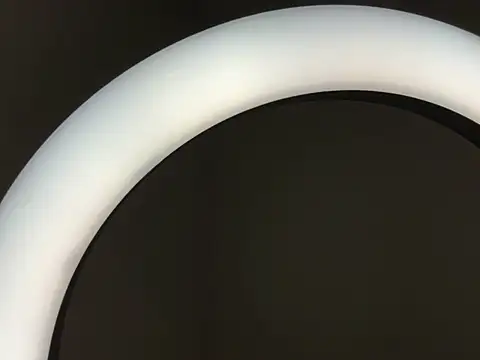 koalaClub webcam