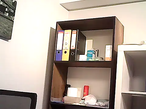 mastercharisma35, modèle webcam