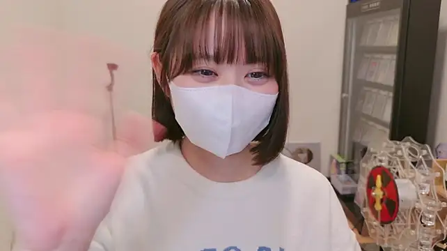 HIKARI_x0, modelo webcam