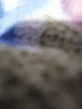 Bigbbcblack00