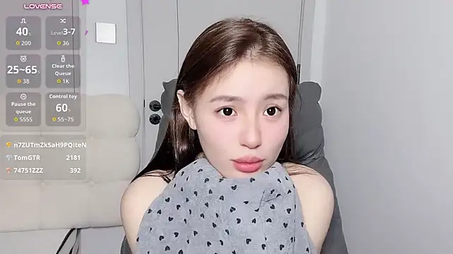 H-2005 webcam model