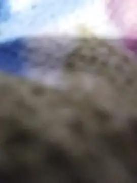 Bigbbcblack00 live cam on StripChat
