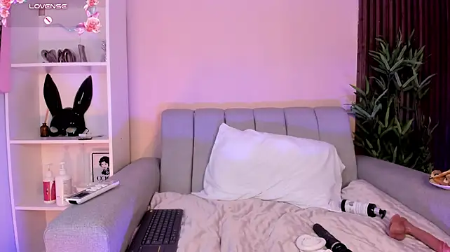 Meow_misaa