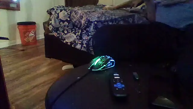 kentinlitlerock in webcam