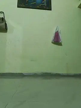 aarvicam live cam preview