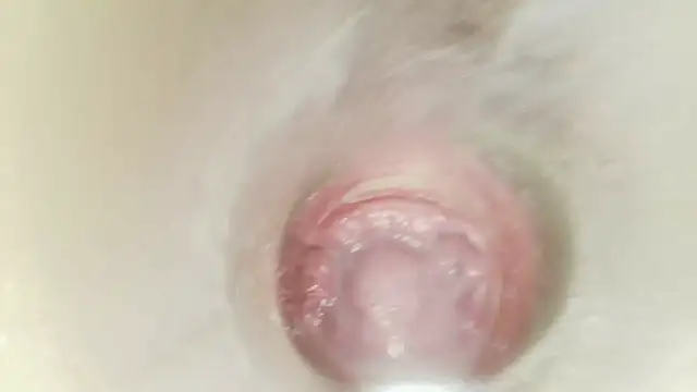 karol_stom