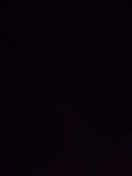 Palom2026 in webcam