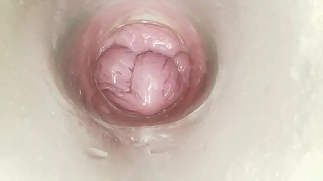karol_stom