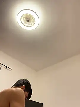 Webcam-Model Fenice0001