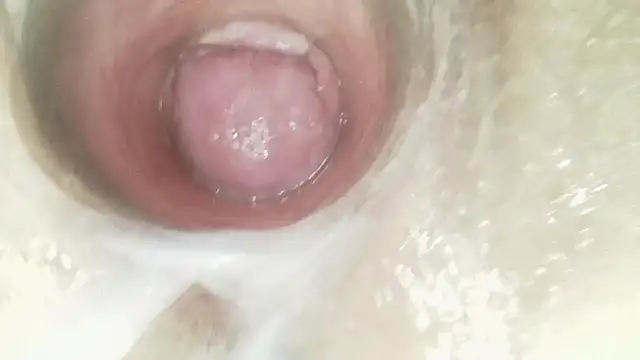 karol_stom webcam