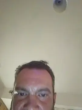 wolfidog