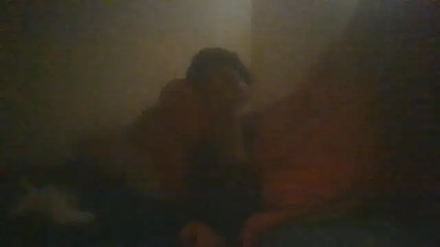 FATISSSE, modelo de webcam