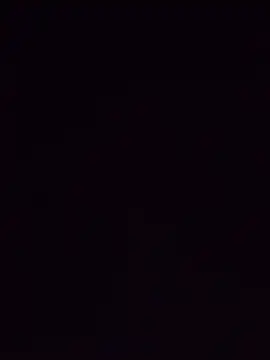 Palom2026