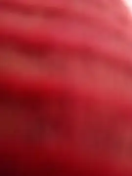Palom2026 on Stripchat