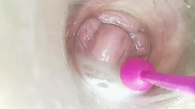 karol_stom live sex cam
