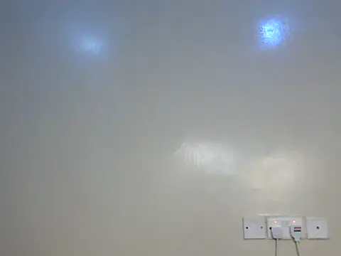 Sexybrii_