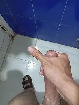 gardga live cam