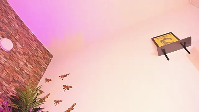 emaa_lambert