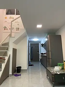 xianyu-ss webcam