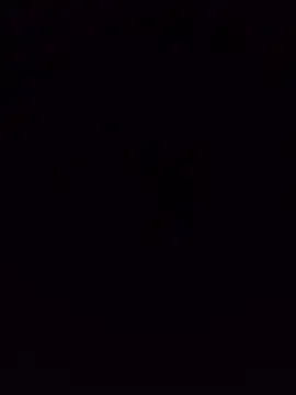 Palom2026の配信中の画面
