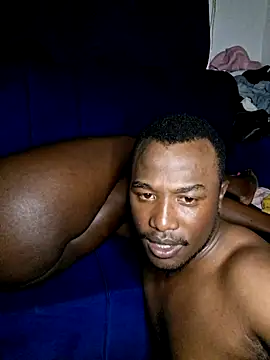warefeka webcam