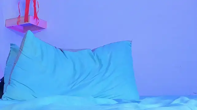 camilo_model