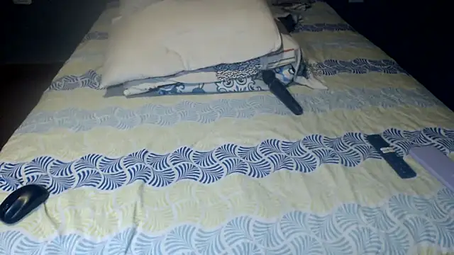 Darkvib webcam