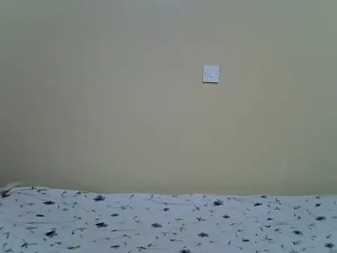 Eebony1 live cam on StripChat