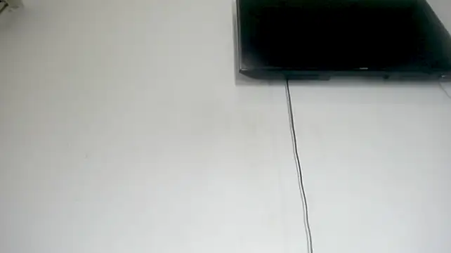 Fox_Loves