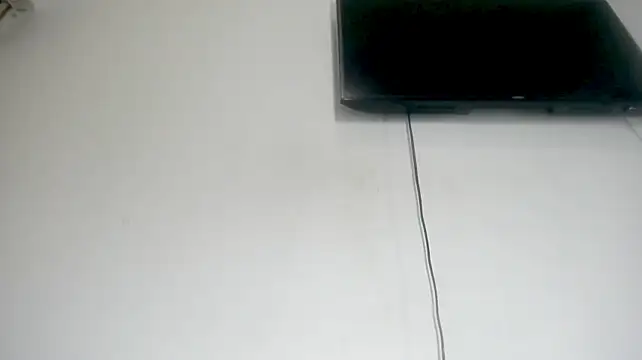 Fox_Loves