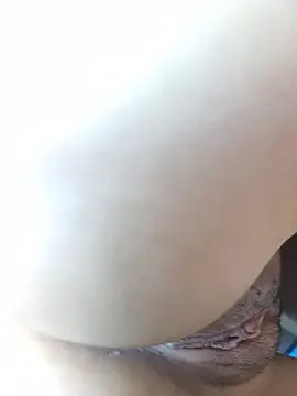 FansBRISA