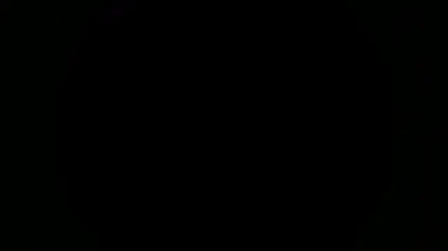 Nina_Hiltonの配信中の画面