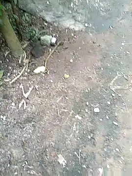 Sudhirsexyj