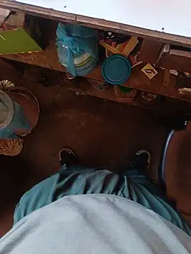 Himachali_bull_27