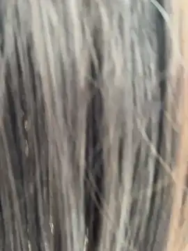 Kim_anal