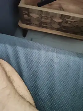 ertance40 live cam on Stripchat