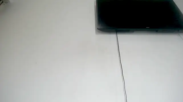 Fox_Loves