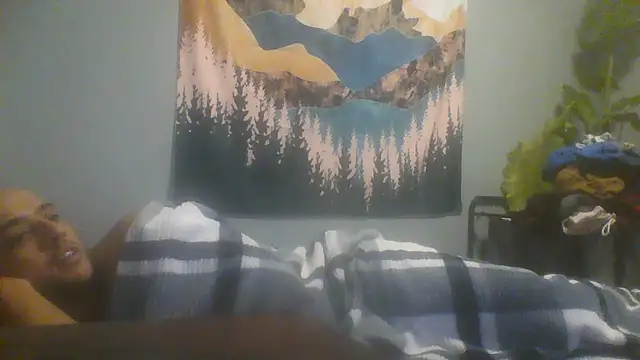 knox93 webcam
