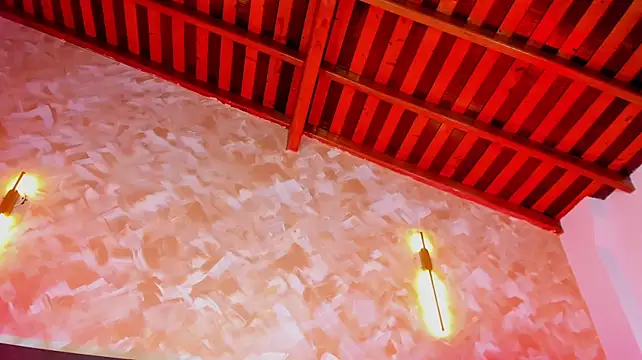 Anny-Arangoの配信中の画面